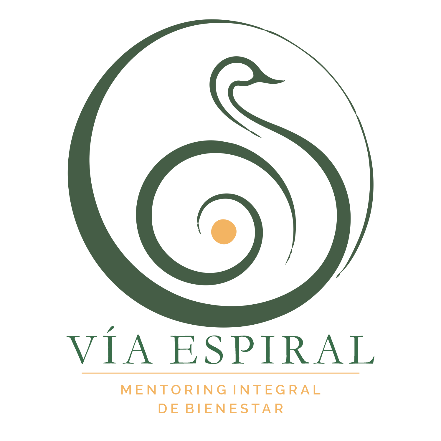 Vía Espiral, mentoring integral de bienestar